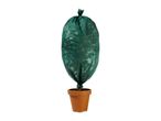Green plant fleece cover on a potted plant