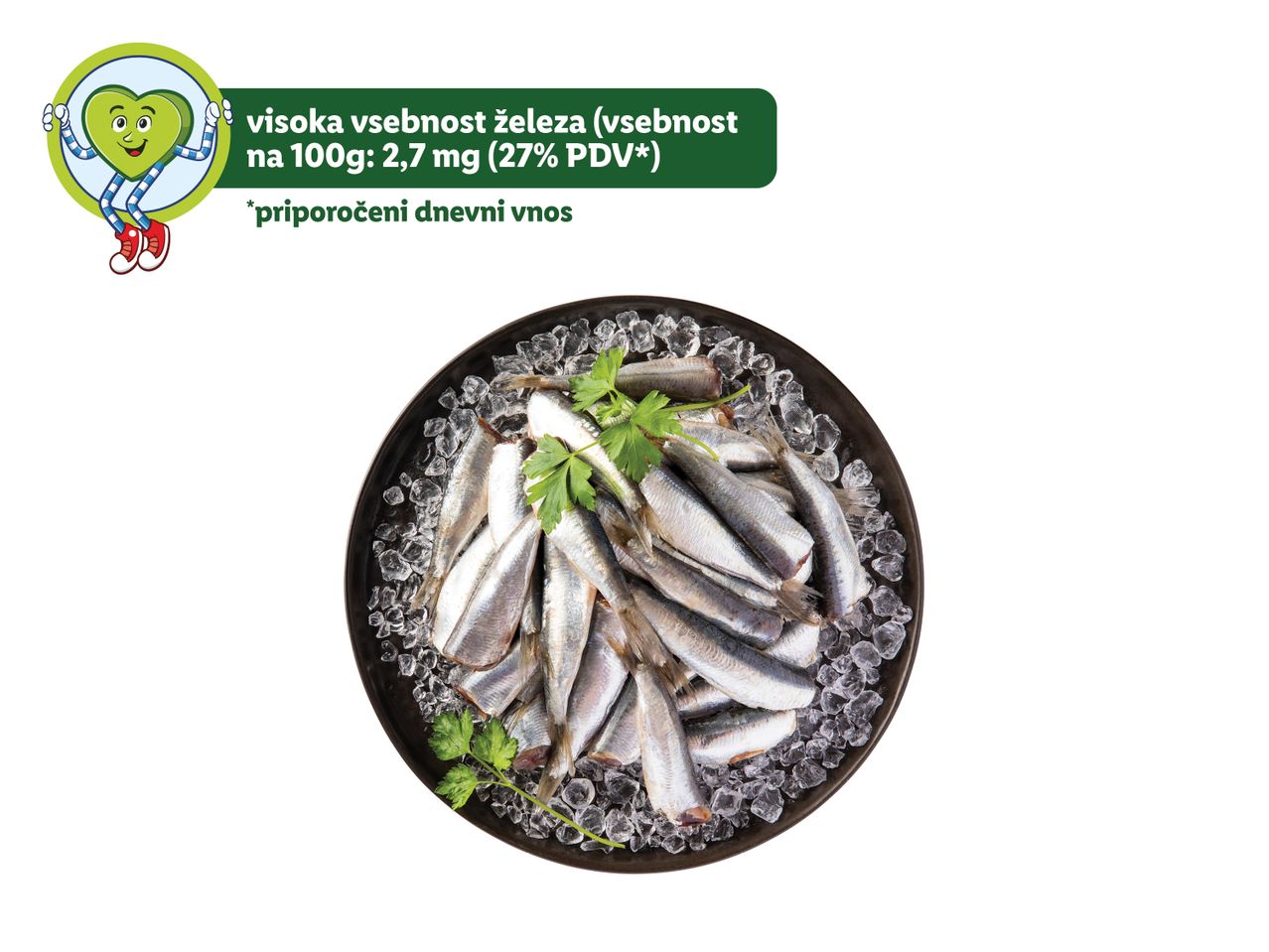 Sveže sardine na ledu.