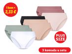 Set od 6 plus size gaćica u neutralnim bojama.