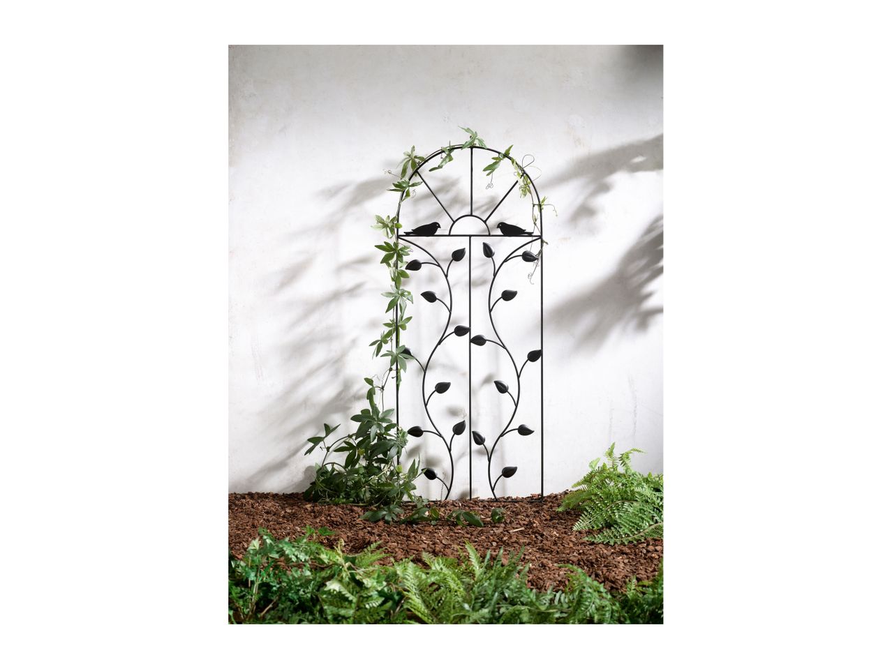 Go to full screen view: Metal Trellis - Image 2