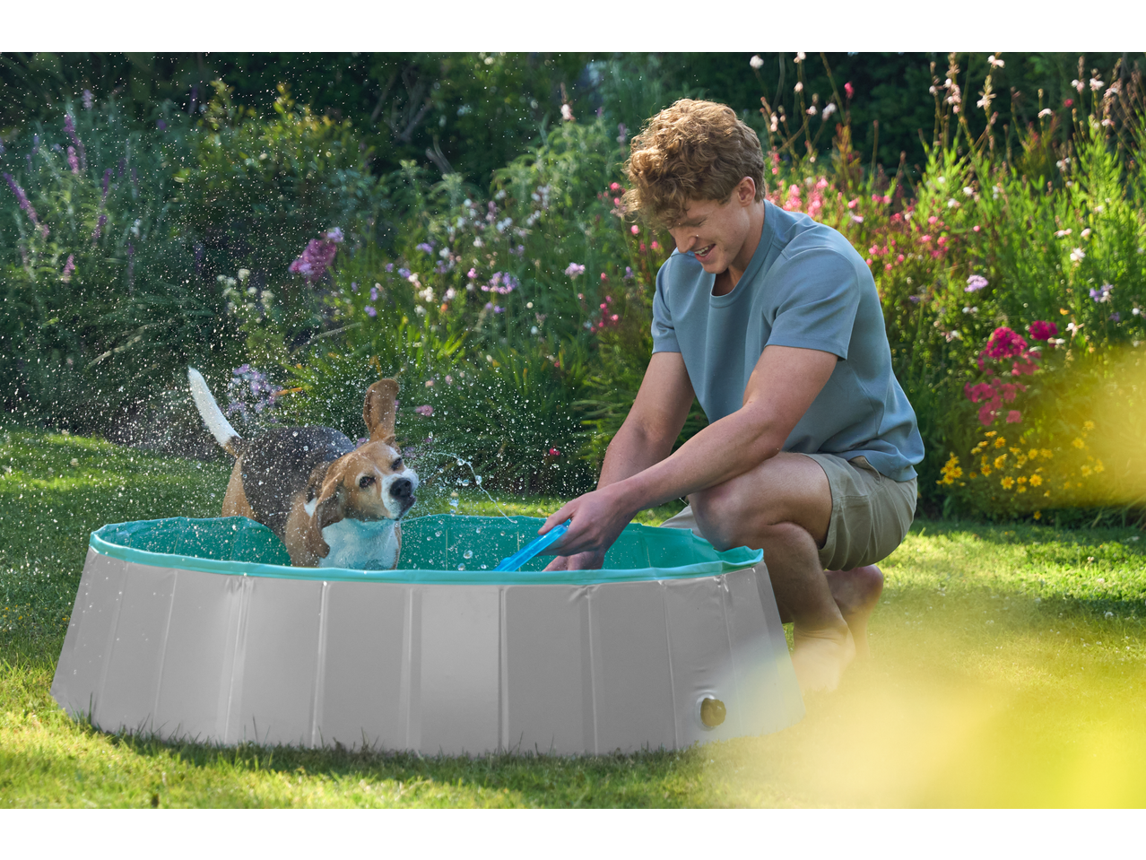 Man playing with a Beagle dog in a Zoofari Dog Pool, splashing water in a garden.