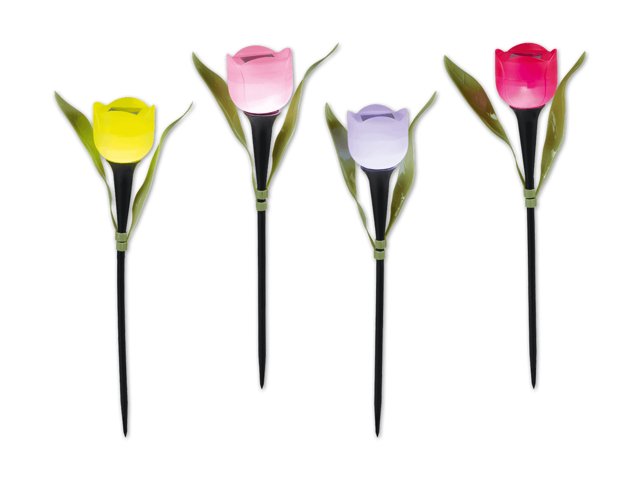 Vier solarbetriebene Gartenleuchten in Tulpenform in Gelb, Pink, Lila und Rot.