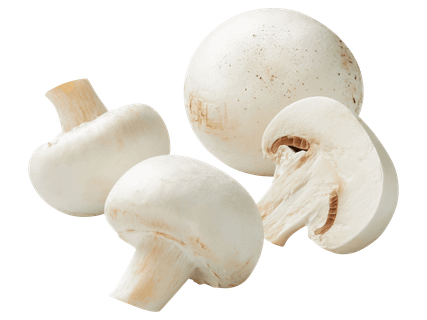 Csiperkegomba