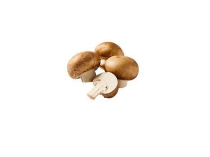 Kastanjechampignons