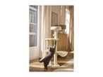 A grey cat stretching up to scratch a cream-coloured multi-level cat tree.