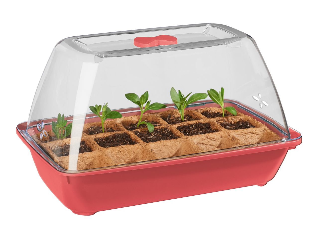 Go to full screen view: Parkside Organic Berry Garden Mini-Greenhouse - Image 3