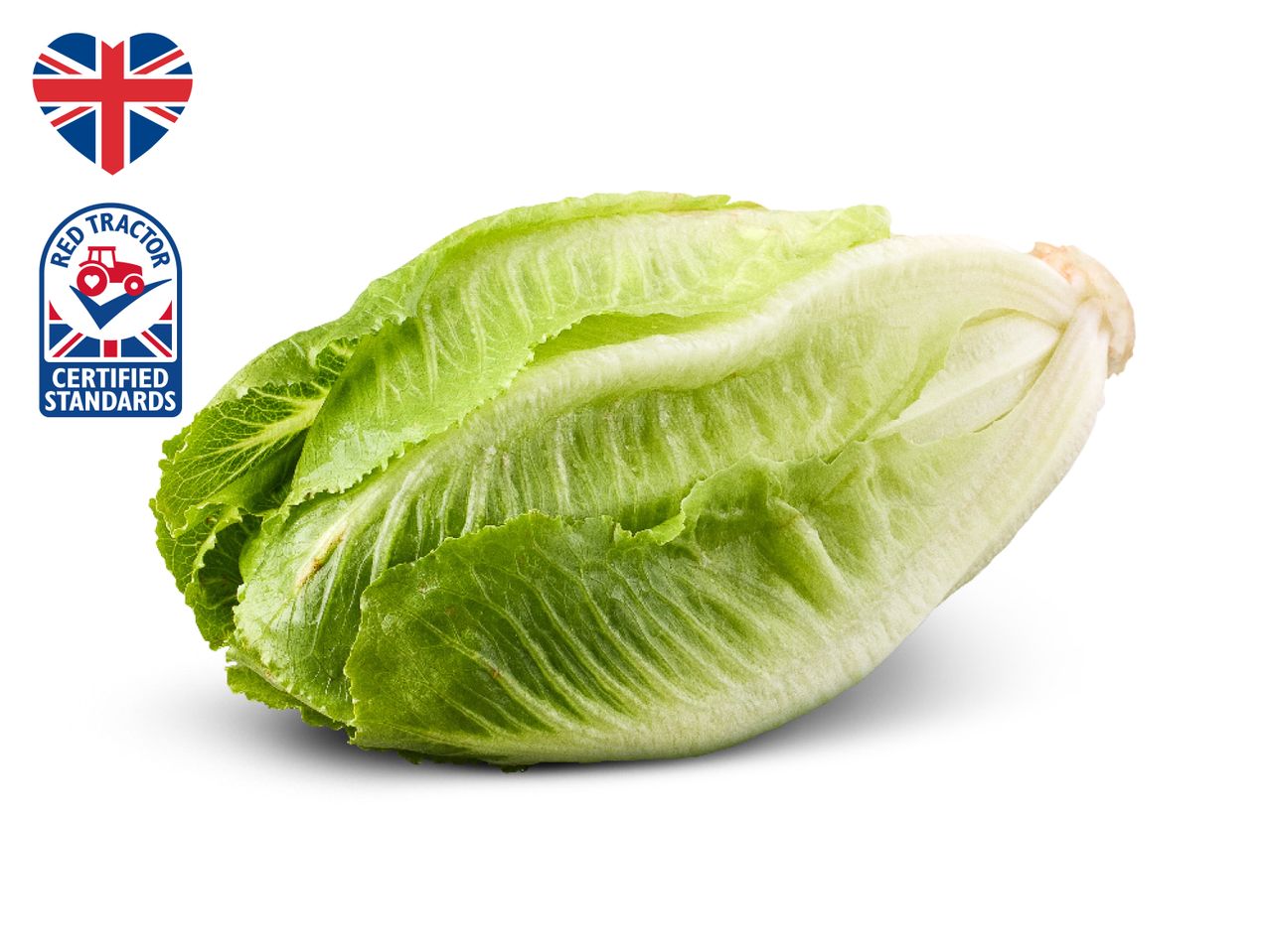 A fresh, green cosberg lettuce with Red Tractor Certified Standards logo.