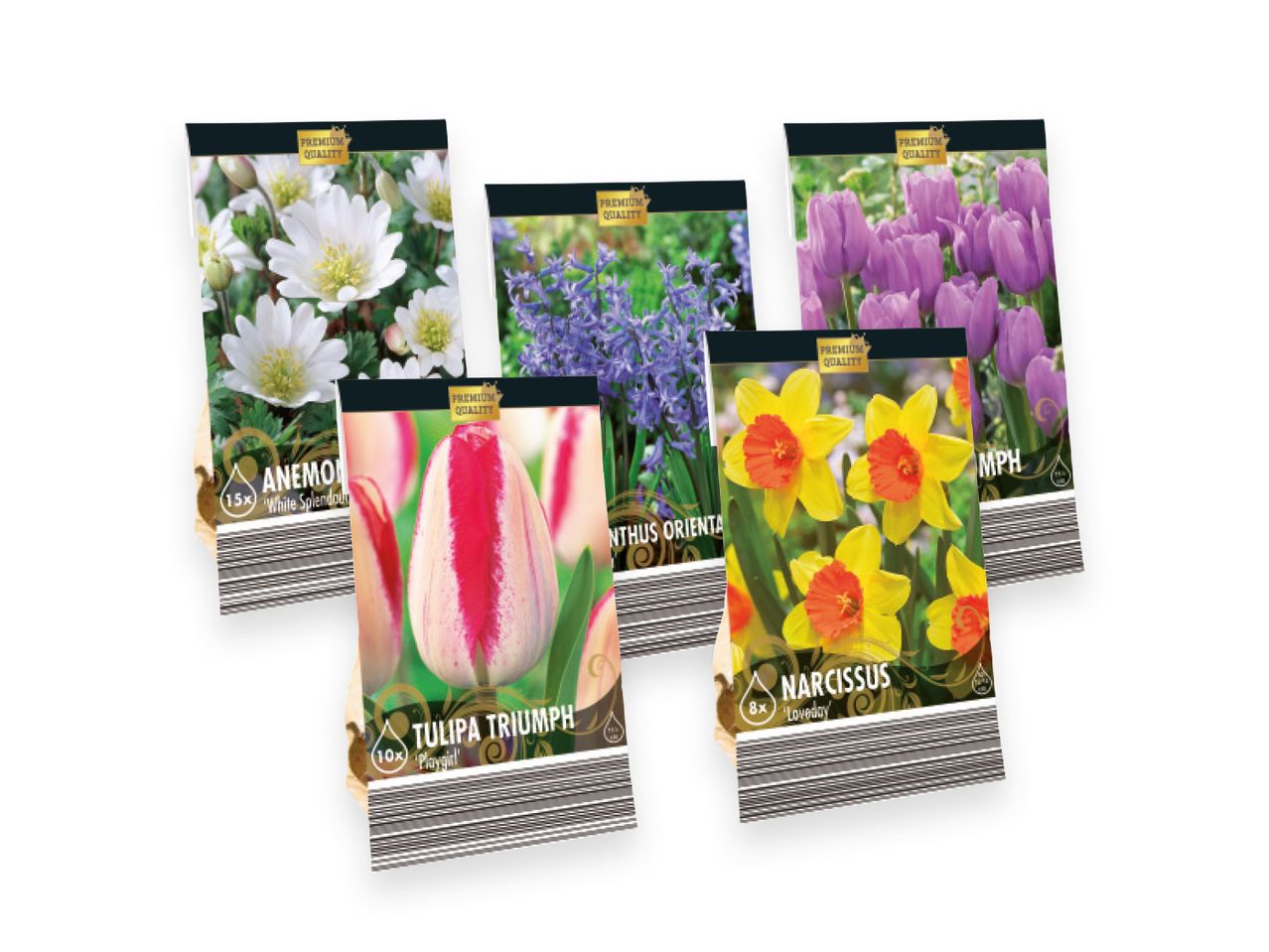 Confezioni di bulbi di fiori di qualità premium, tra cui anemoni, tulipani, narcisi e giacinti.