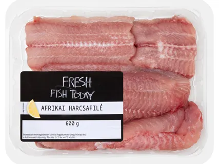 Friss afrikai harcsafilé