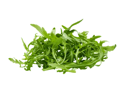Rucola