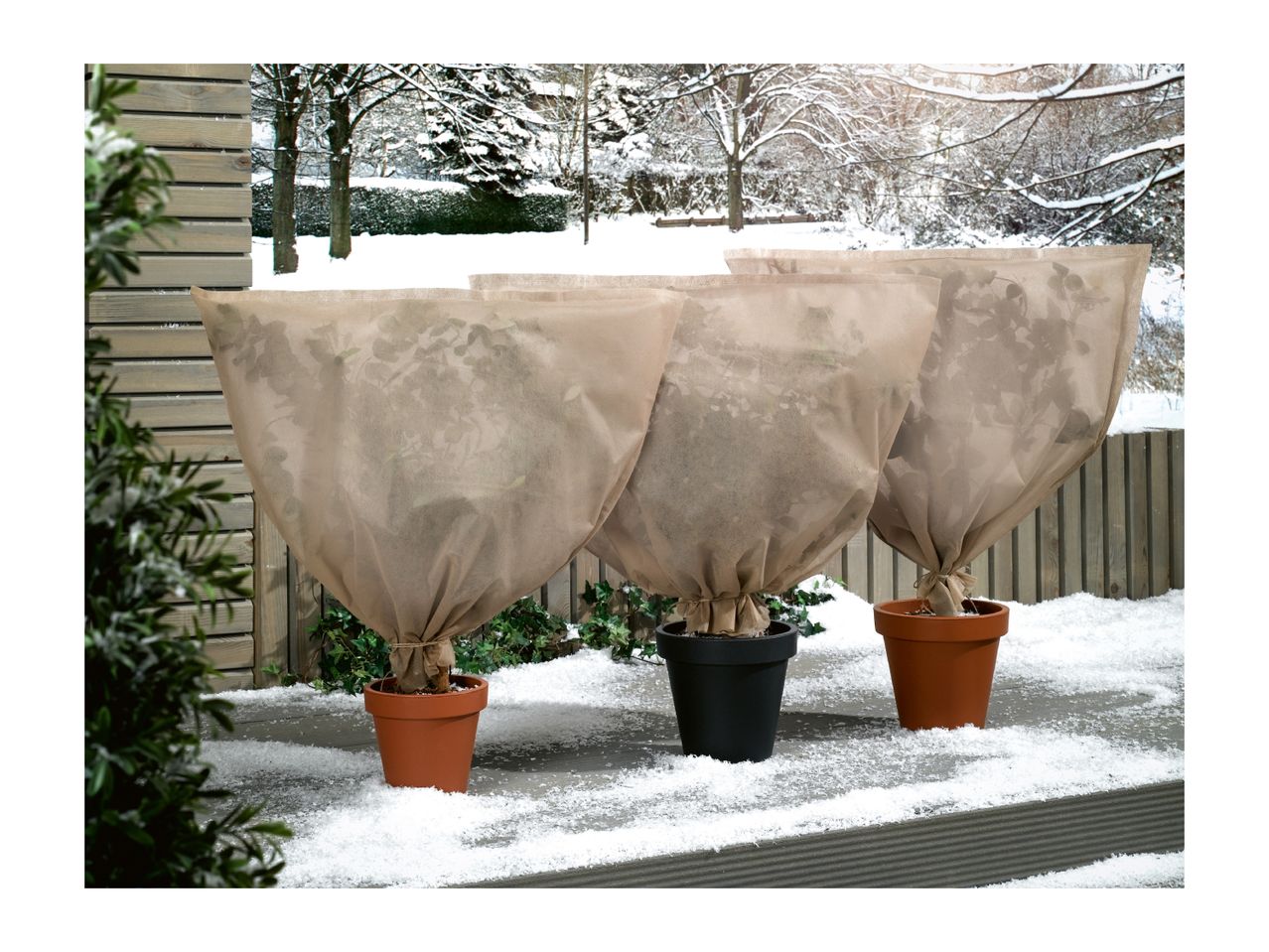 Three potted plants wrapped in protective winter fleece covers on a snowy deck.