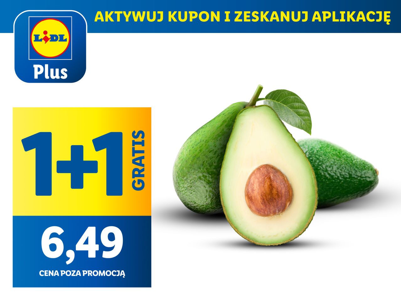 Awokado zielone; Awokado zielone