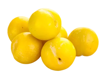 Keltainen luumu