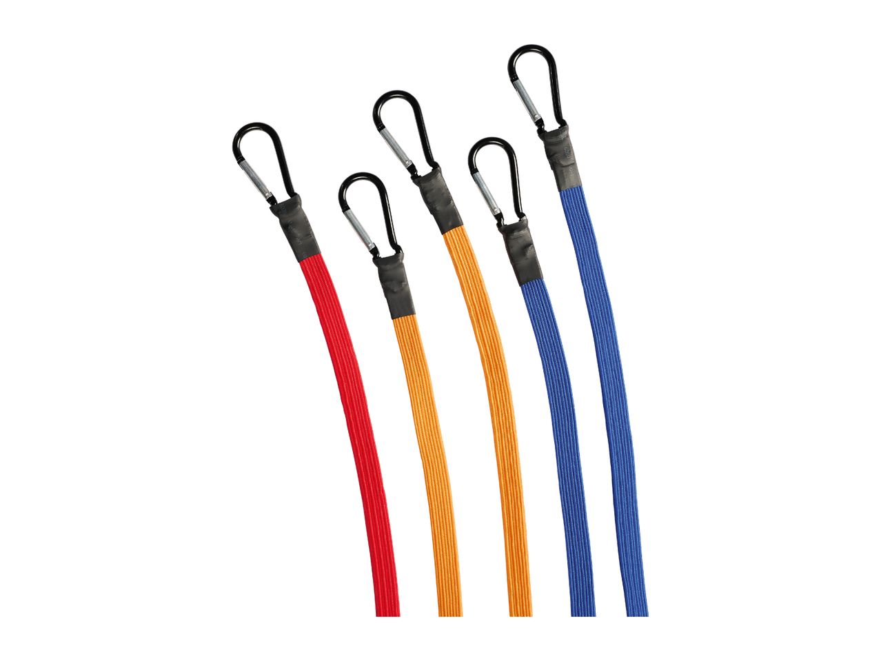 Five colorful bungee cords with carabiners in red, orange, and blue.