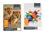 To Creative Kids tegneblokke med henholdsvis løveunger og farvesplash-design.