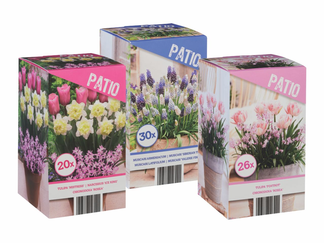 Three boxes of flower bulbs, each featuring different floral arrangements and labeled 'PATIO'.