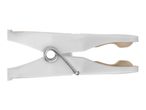 White plastic clothespins with a metal spring.