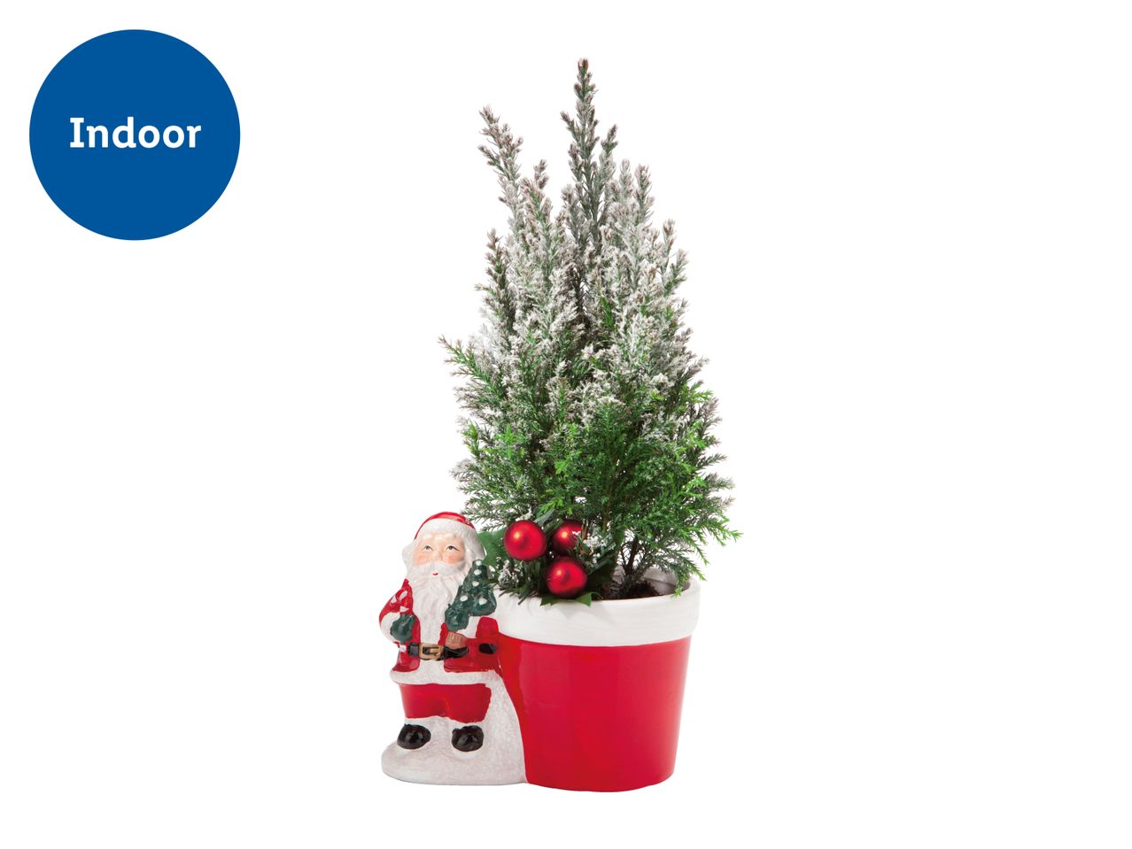 Indoor Christmas decoration with a small frosted tree in a red pot and a Santa Claus figure.