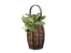 Scindapsus met groene en zilveren bladeren in een decoratieve rieten lantaarn.