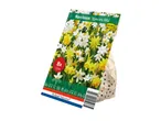 A package of eight Narcissus Species Mix flower bulbs.
