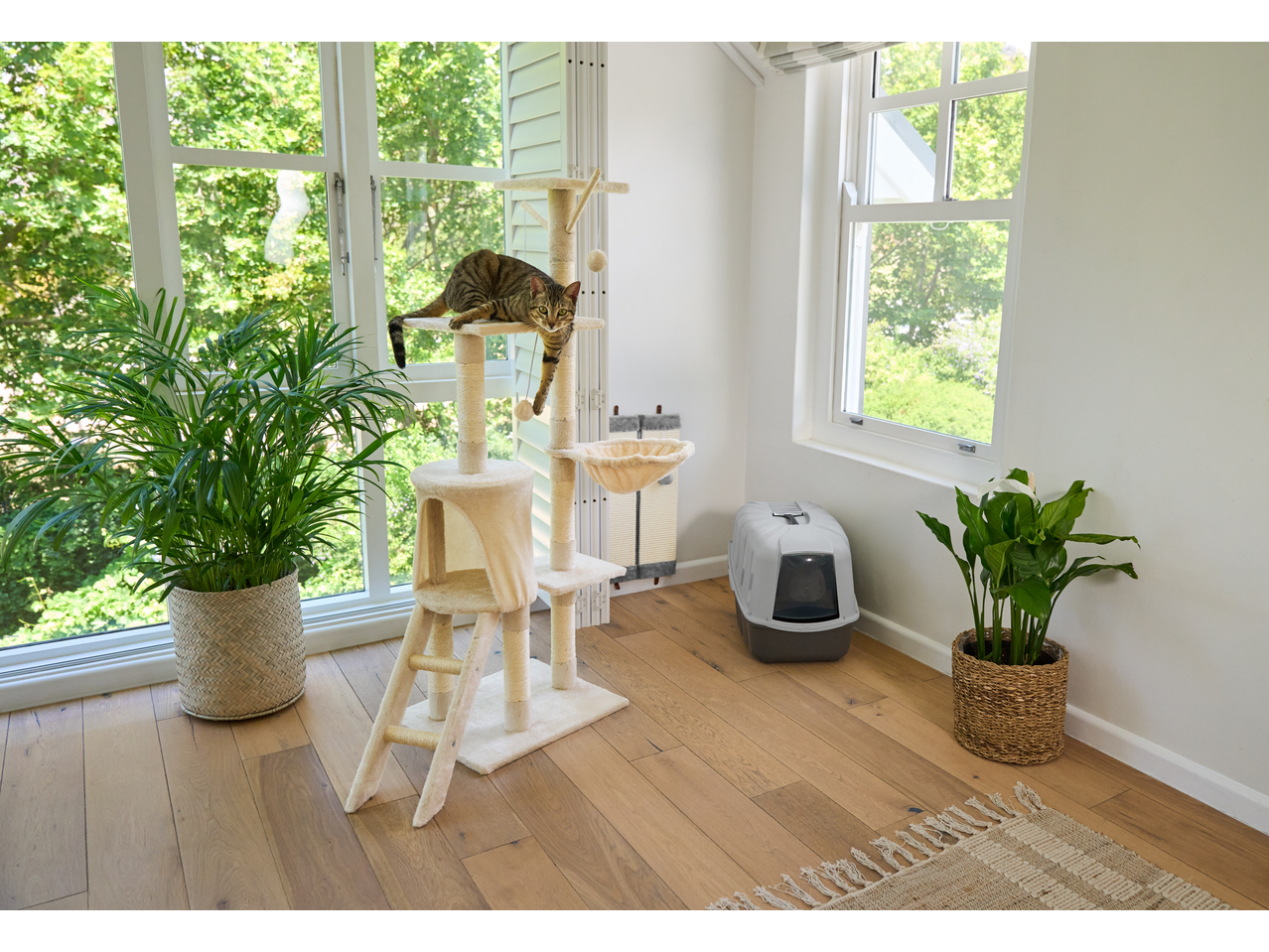 Zoofari cat litter tray and cat tree in a bright room with a cat and plants.