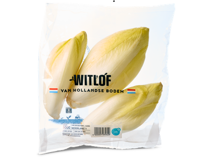 Witlof