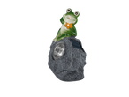 Solar-powered frog garden light sits atop a grey rock.