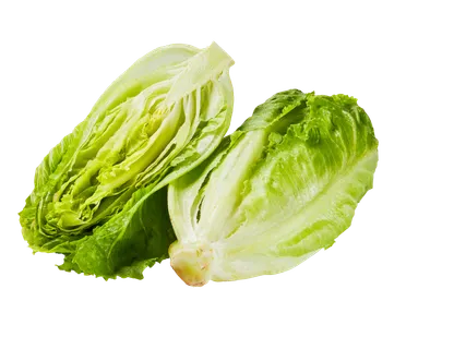 Rooma salat