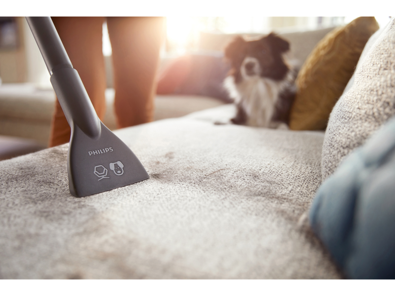 Philips Power Cyclone stofzuiger verwijdert dierenharen van een bank.
