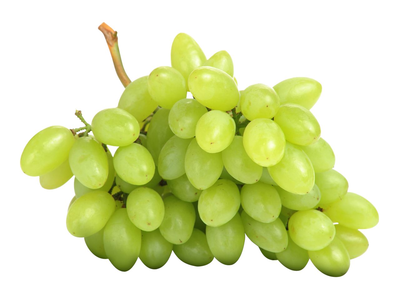 A fresh bunch of green seedless grapes on a white background