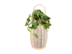 Scindapsus in een decoratieve bamboe en stoffen lantaarn.