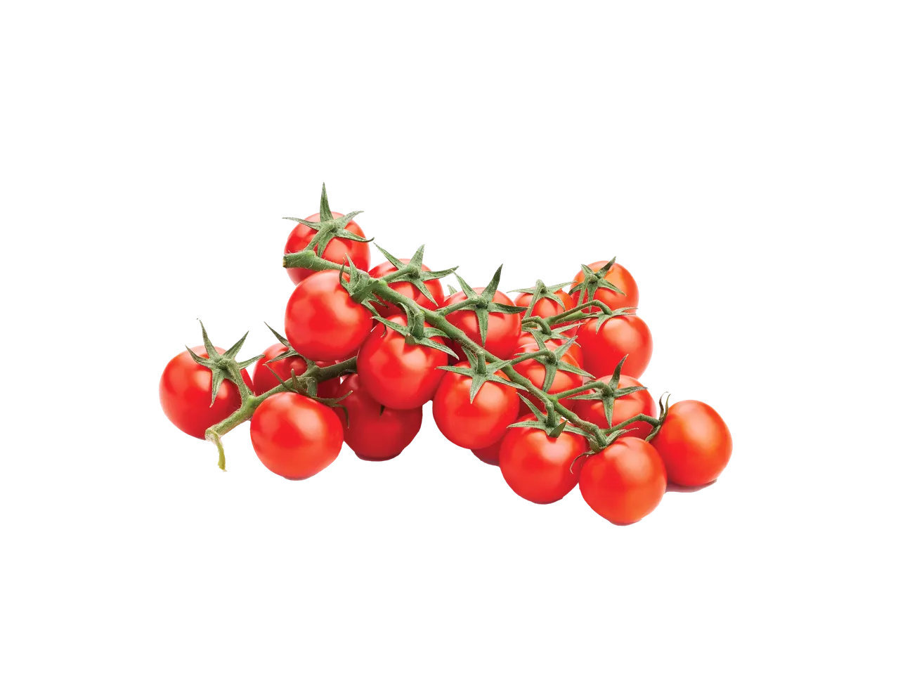 A bunch of ripe red cherry tomatoes on the vine.