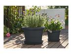Two dark grey planters with lavender and daisies on a wooden deck in sunlight.