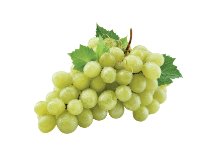 Žaliosios besėklės vynuogės