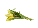 Buquê de tulipas amarelas.
