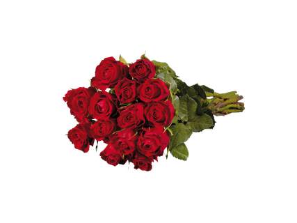 Rózsa- / tulipáncsokor