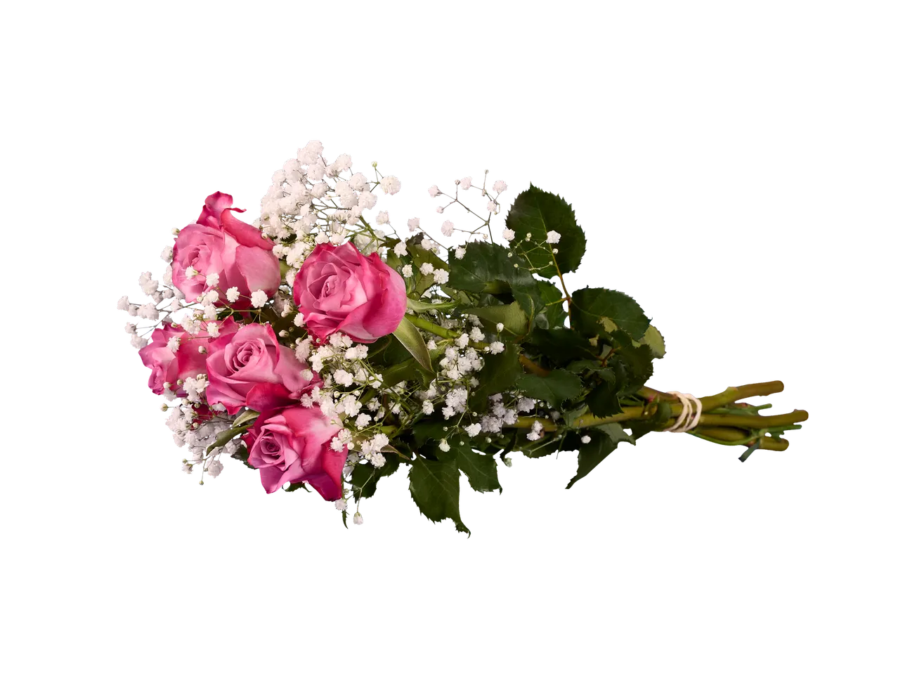 Buchet festiv de trandafiri roz cu flori albe de gipsophila.
