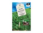 Gigante d'Italia parsley seeds on seed tape.