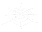 White spiderweb decoration on a white background