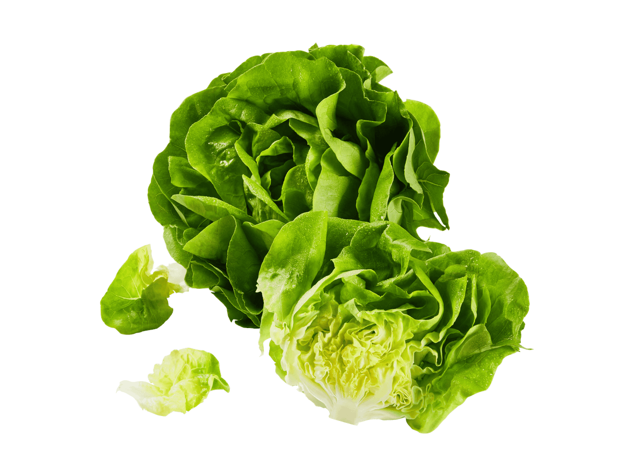 Frischer grüner Kopfsalat mit Wassertropfen auf schwarzem Hintergrund.