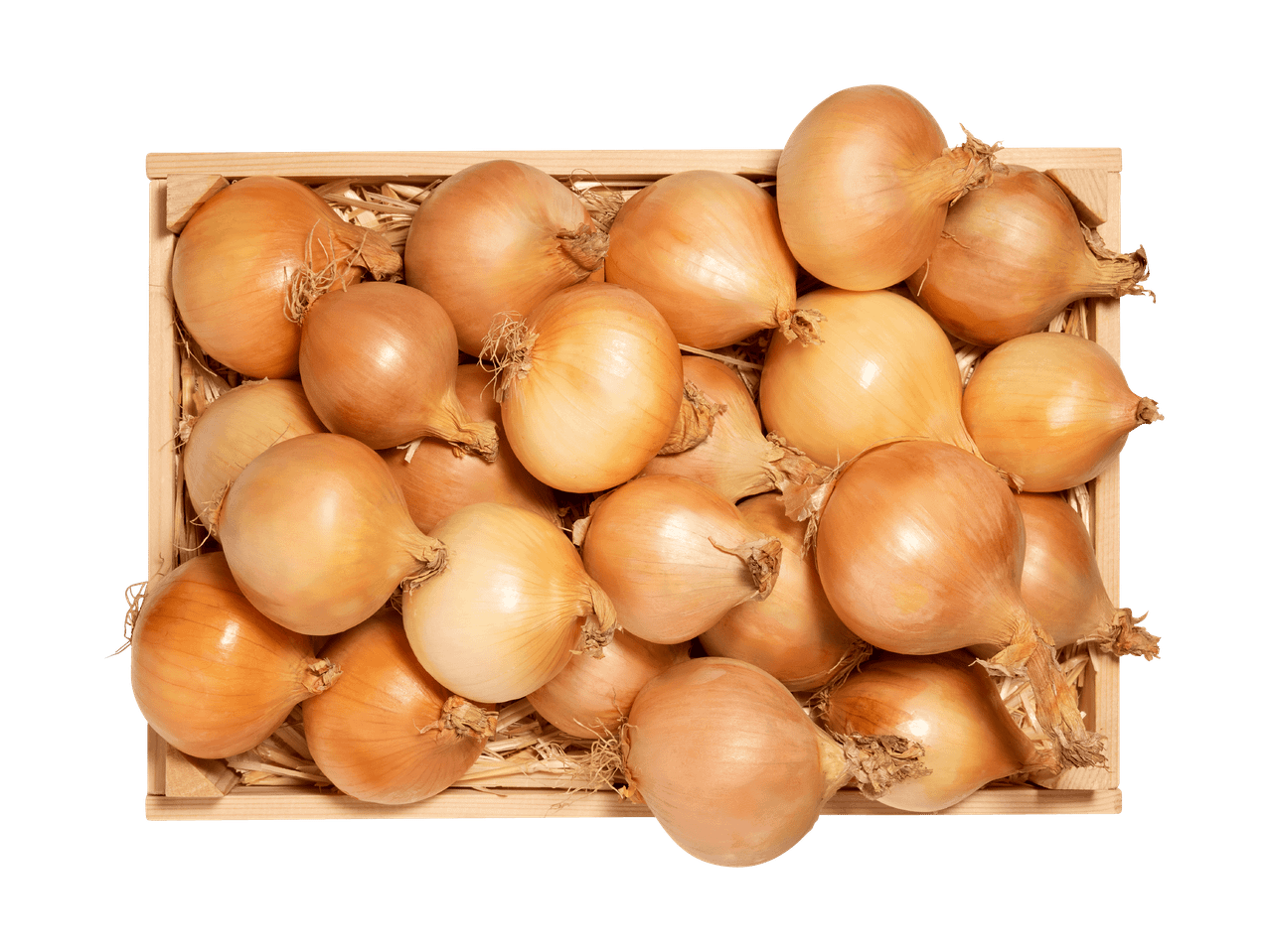 Viele goldene Zwiebeln in einer Holzkiste auf schwarzem Hintergrund