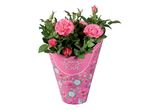 Розови рози в красива розова опаковка с надпис 'Lovely Roses'.