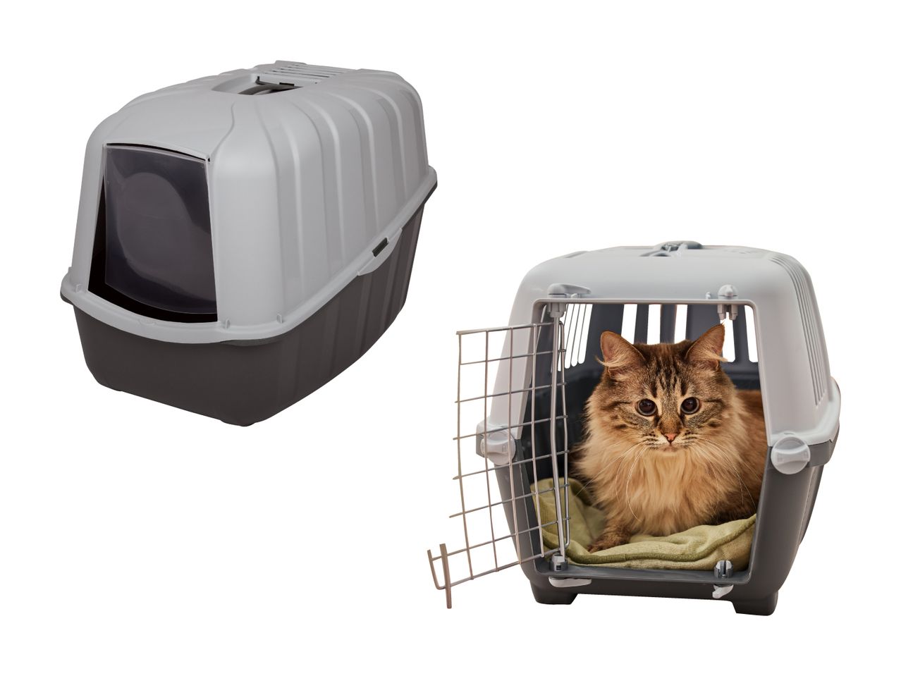 En kat sidder i en transportkasse ved siden af en kattebakke.