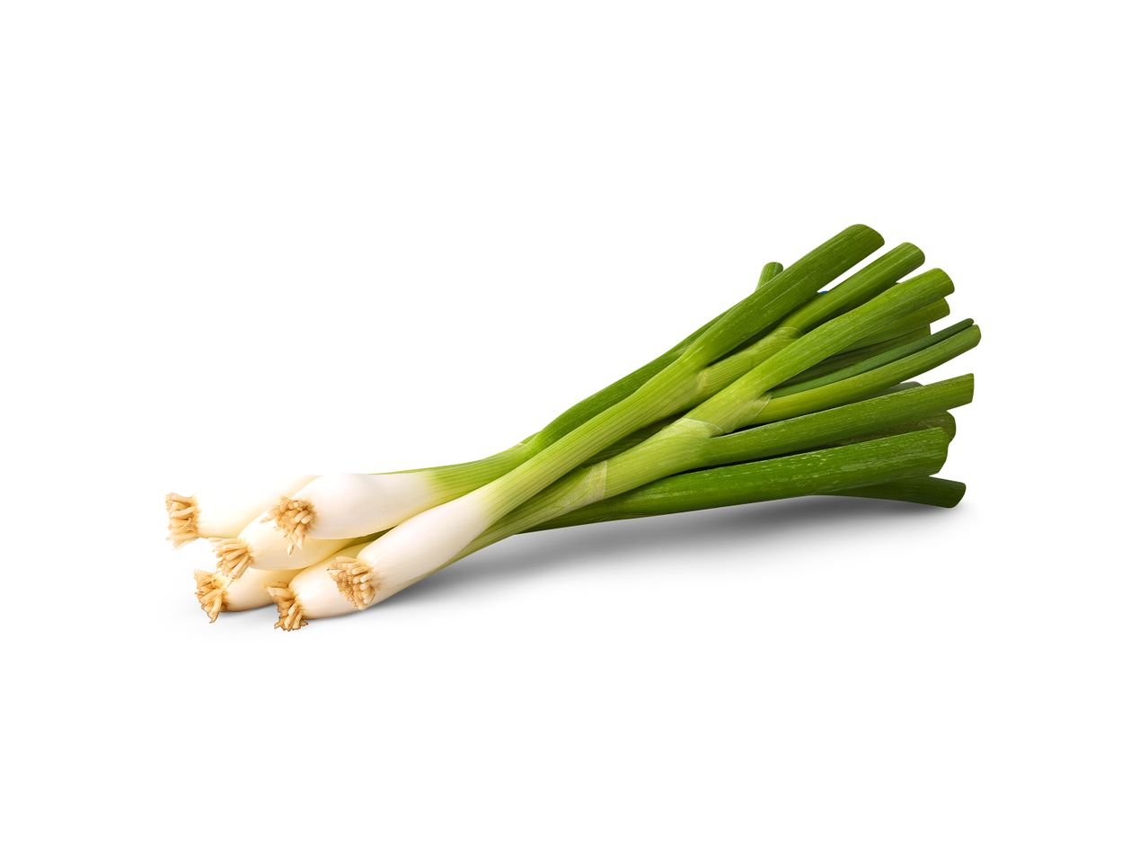 A bunch of fresh green spring onions with white bulbs and roots.