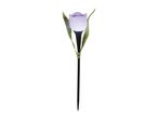 Purple tulip-shaped solar garden light with green leaves and a black stake.