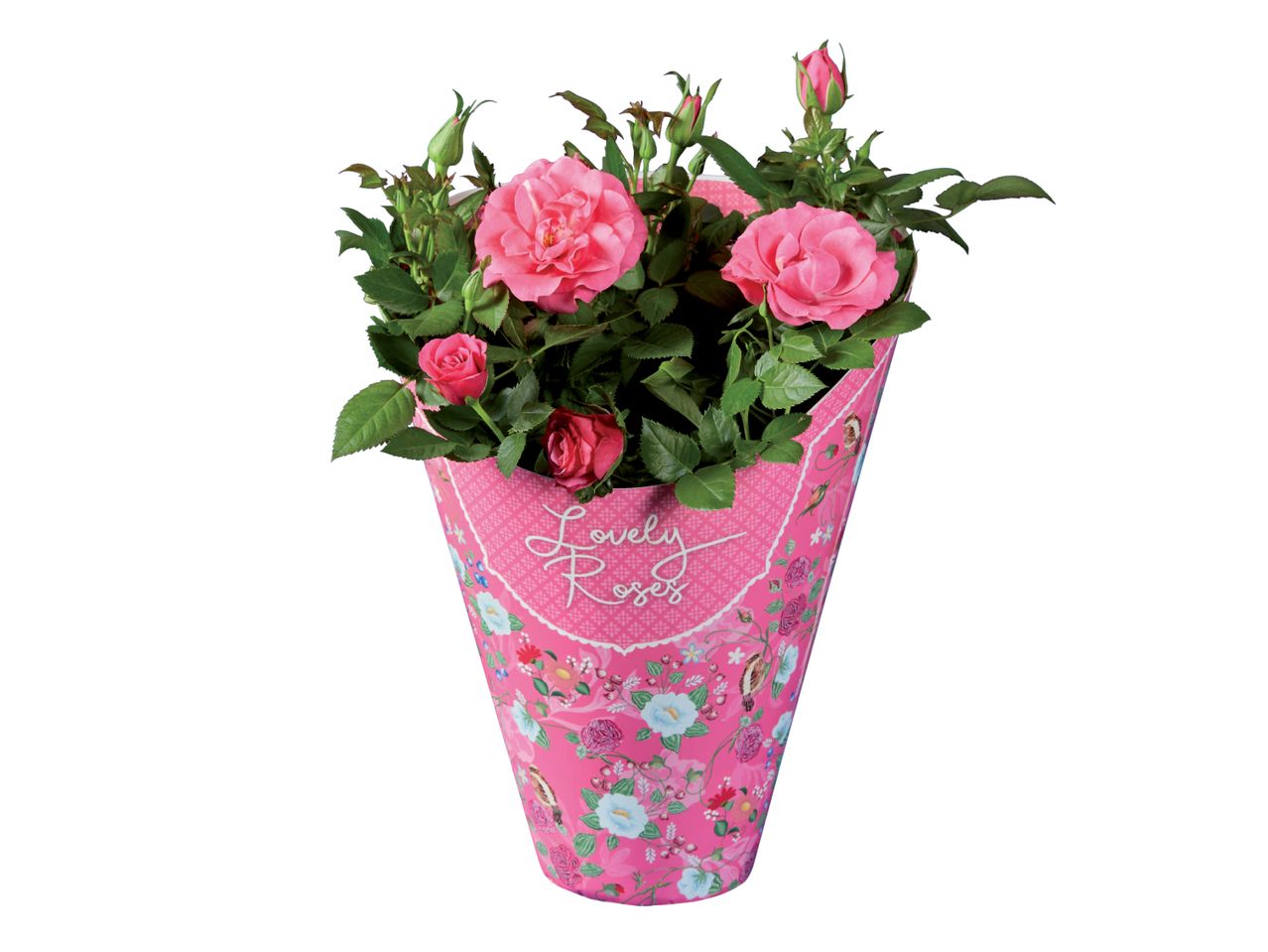 Розови рози в красива розова опаковка с надпис 'Lovely Roses'.
