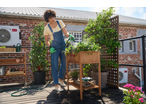 Mulher regando plantas num canteiro elevado Parkside® num jardim no terraço.