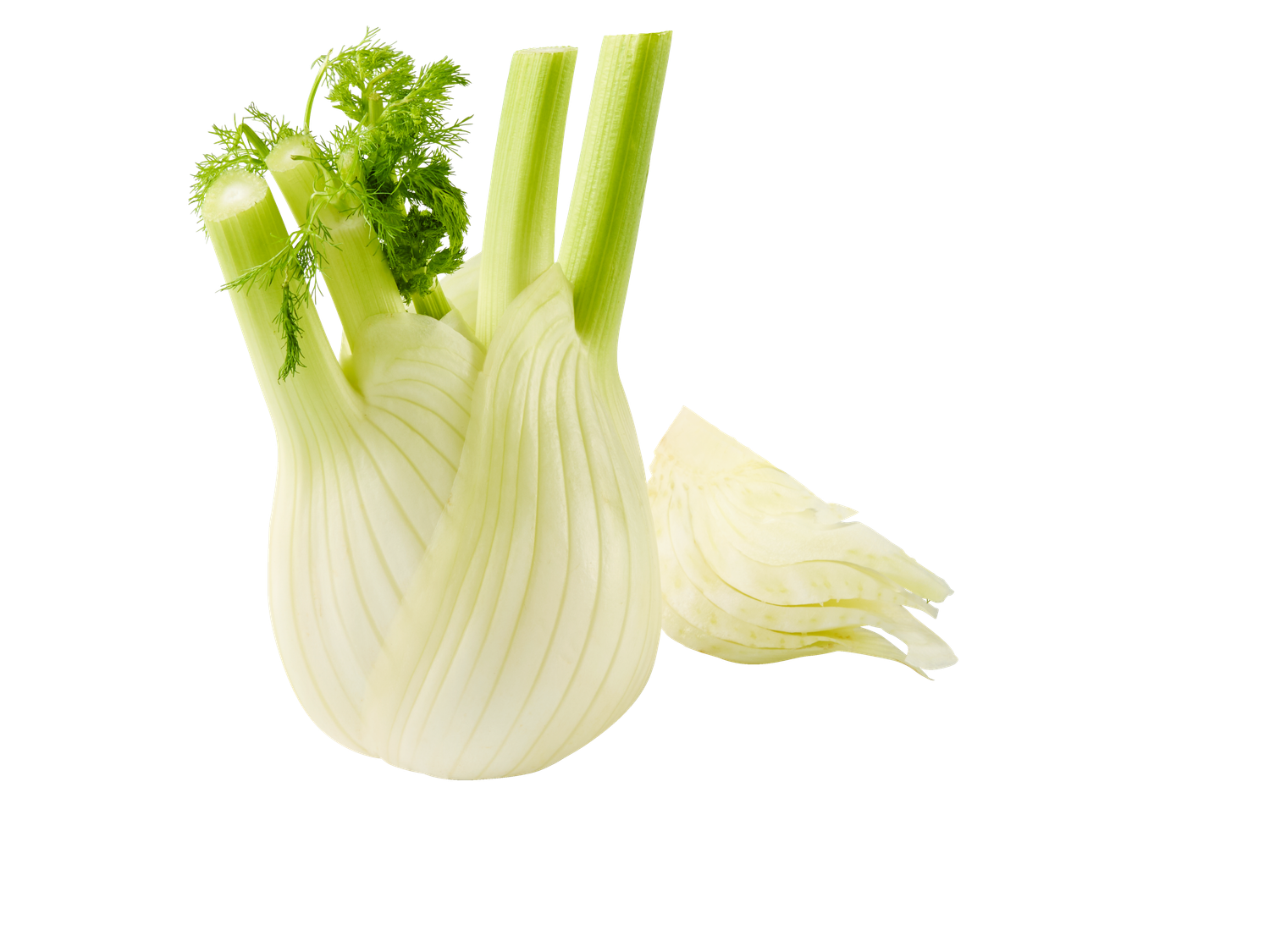 Venkel