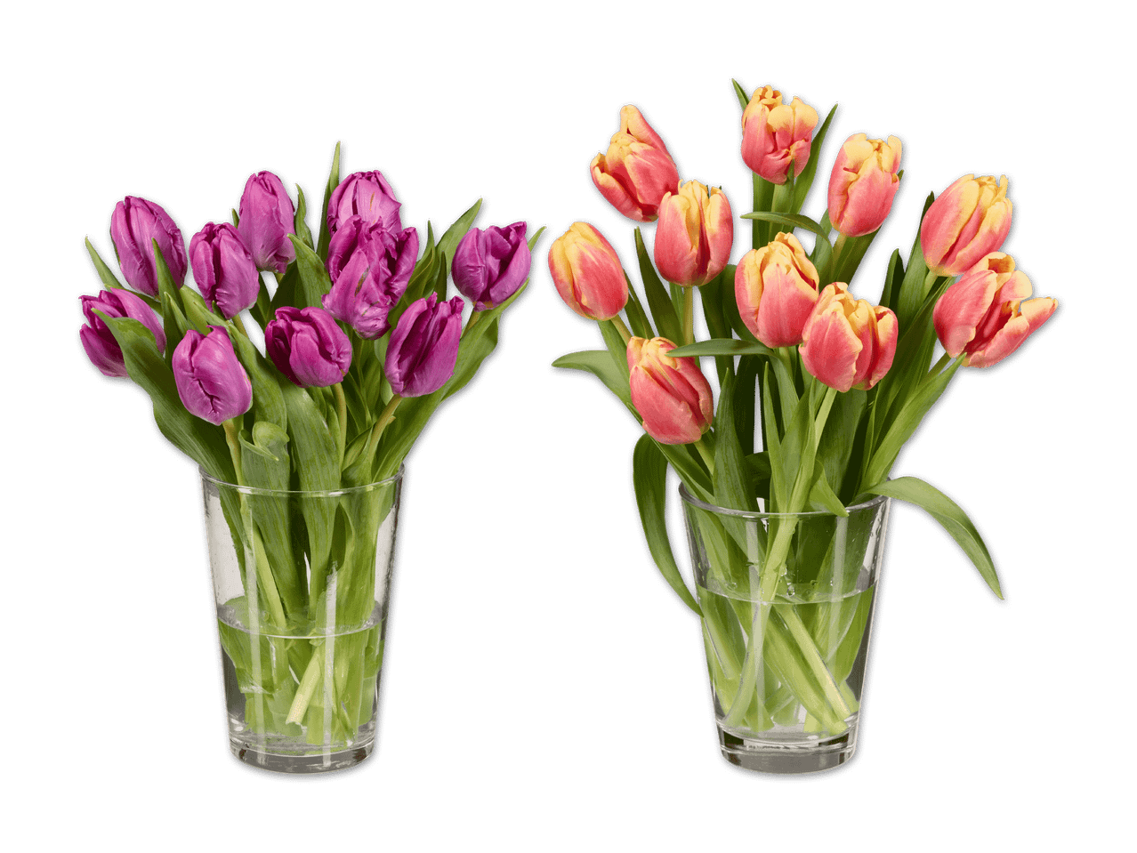 Zwei Sträuße Tulpen in Vasen: lila Tulpen links, rot-gelbe Tulpen rechts, auf schwarzem Hintergrund.