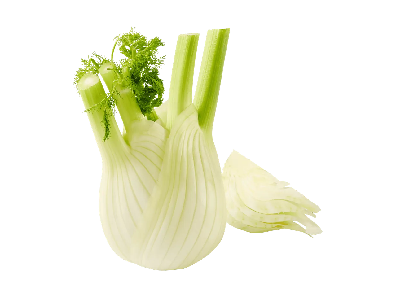 Frische Fenchelknolle mit grünen Stielen und Blättern, dazu geschnittene Fenchelstücke.